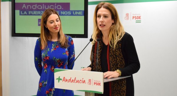 El PSOE pide en los ayuntamientos de la provincia a PP y Cs que 