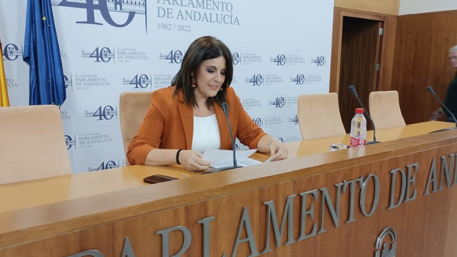 Férriz critica la “careta” de Moreno Bonilla en políticas de Igualdad