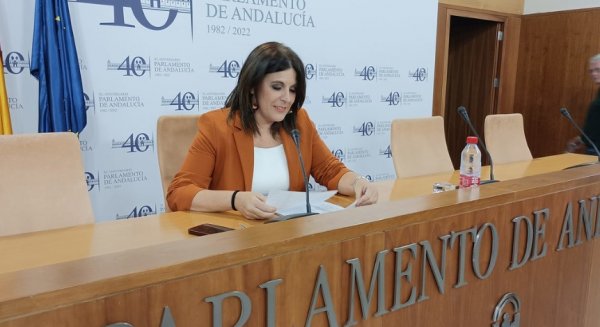 Férriz critica la “careta” de Moreno Bonilla en políticas de Igualdad