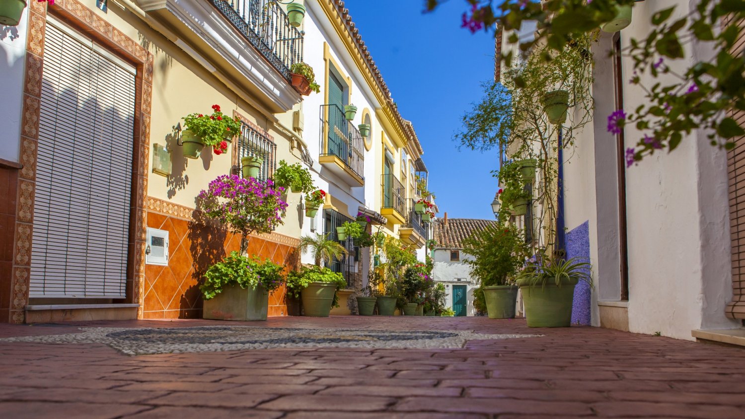 El Ayuntamiento planteará en Pleno la aprobación de la solicitud de  Estepona como Municipio Turístico
