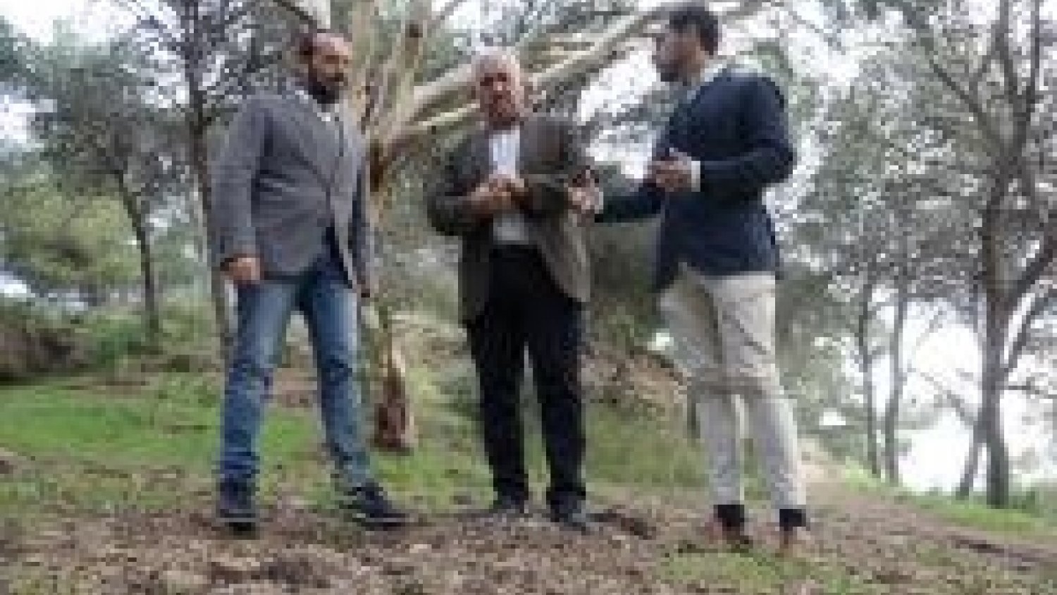 El Ayuntamiento empieza a sembrar 6.000 plantas de origen mediterráneo