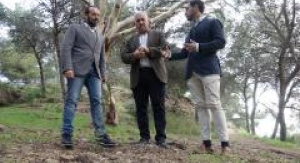 El Ayuntamiento empieza a sembrar 6.000 plantas de origen mediterráneo