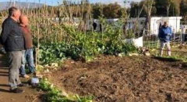 El PP de Mijas denuncia el parón en seco que han sufrido los huertos urbanos en la localidad