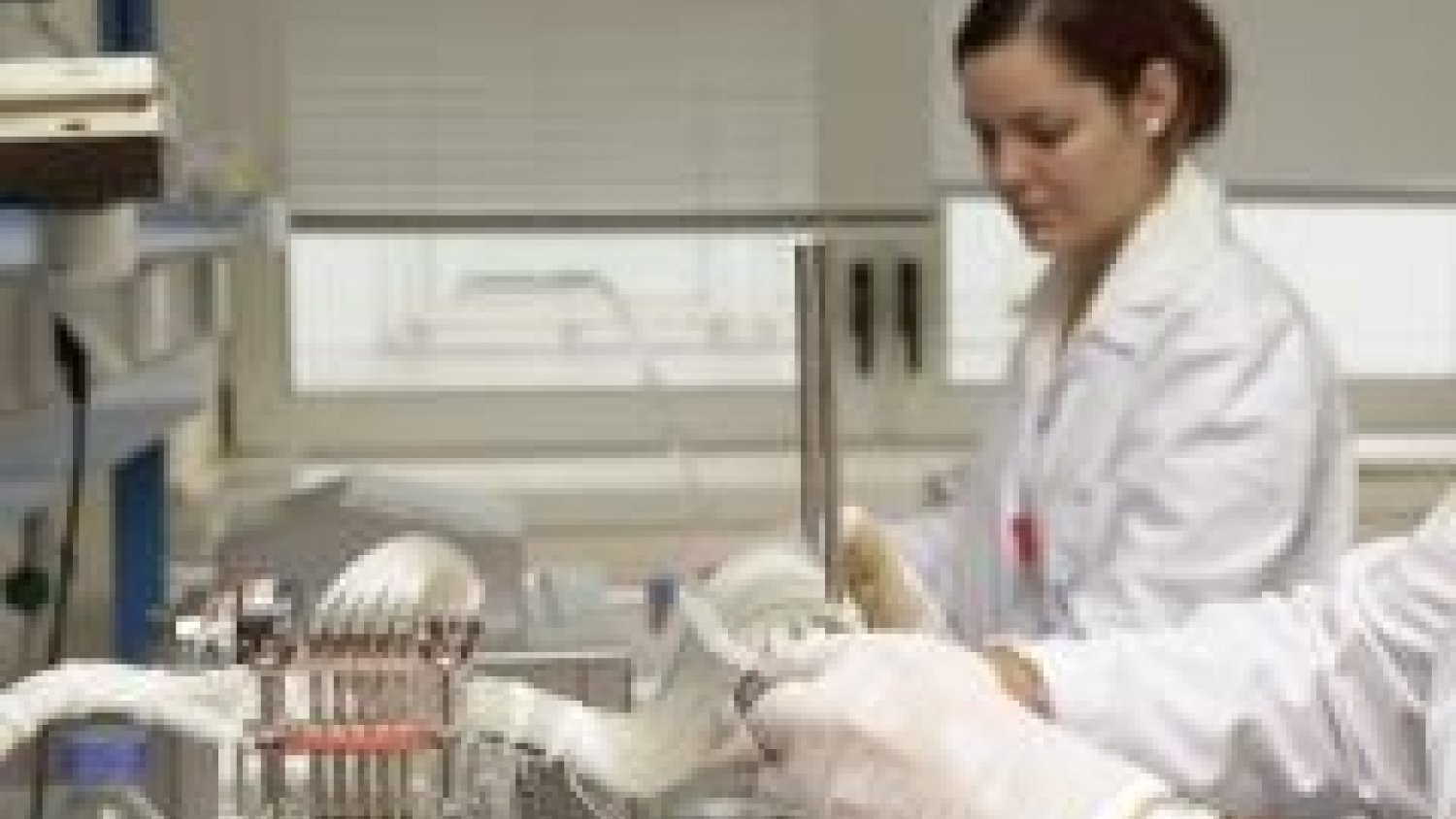 La UMA crece un 149% en producción científica según un informe de la CRUE