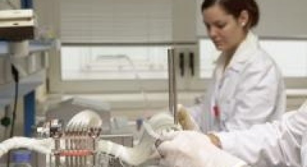 La UMA crece un 149% en producción científica según un informe de la CRUE