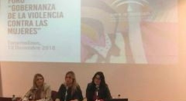 Personal de distintas administraciones y entidades debaten para luchar contra la violencia de género