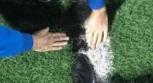 El PP de Mijas denuncia el estado de abandono que presenta el campo de fútbol Antonio Márquez