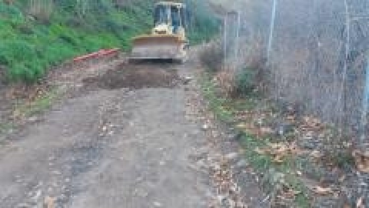 Medio Ambiente realiza obras de emergencia en infraestructuras y caminos forestales de Málaga
