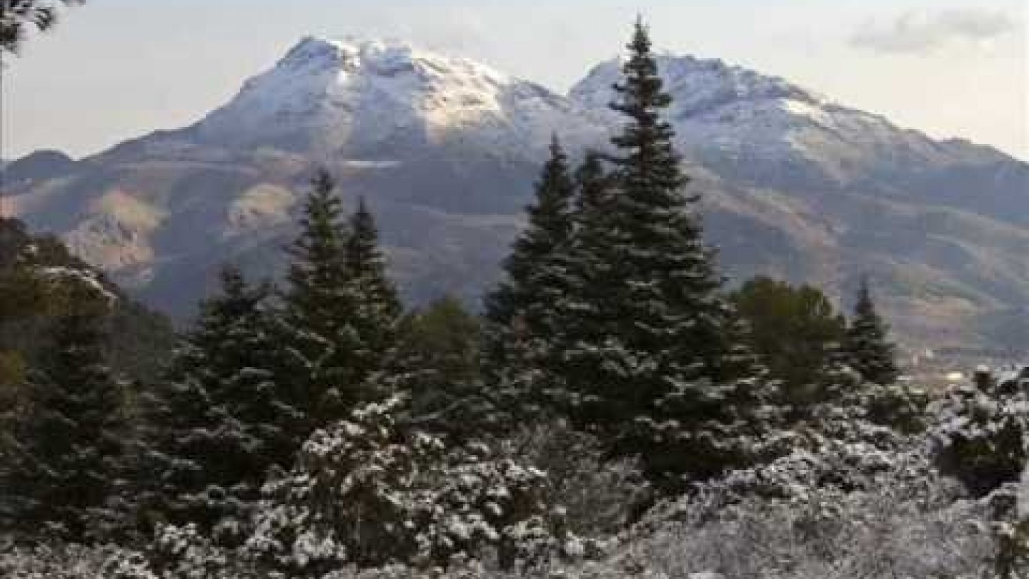 El Gobierno aprueba la propuesta final de declaración del Parque Nacional de la Sierra de las Nieves