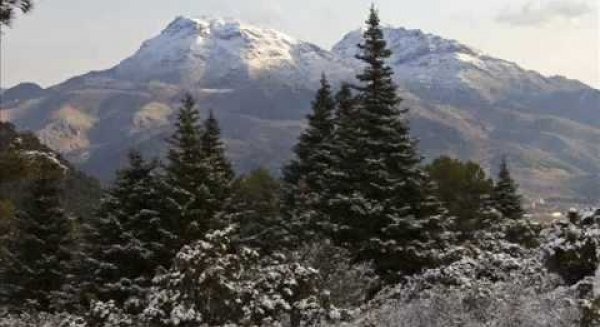 El Gobierno aprueba la propuesta final de declaración del Parque Nacional de la Sierra de las Nieves