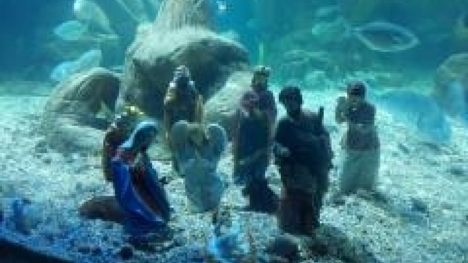 Rayas y tiburones en el belén submarino de Sea Life Benalmádena
