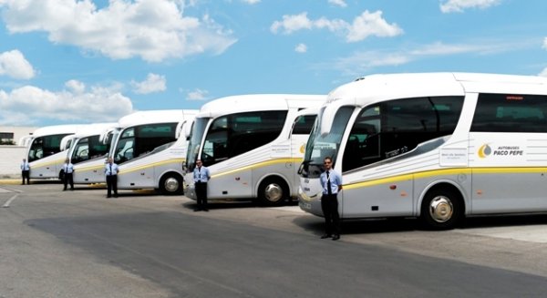 Autobuses Paco Pepe apuesta por una navidad sin una gota de alcohol al volante
