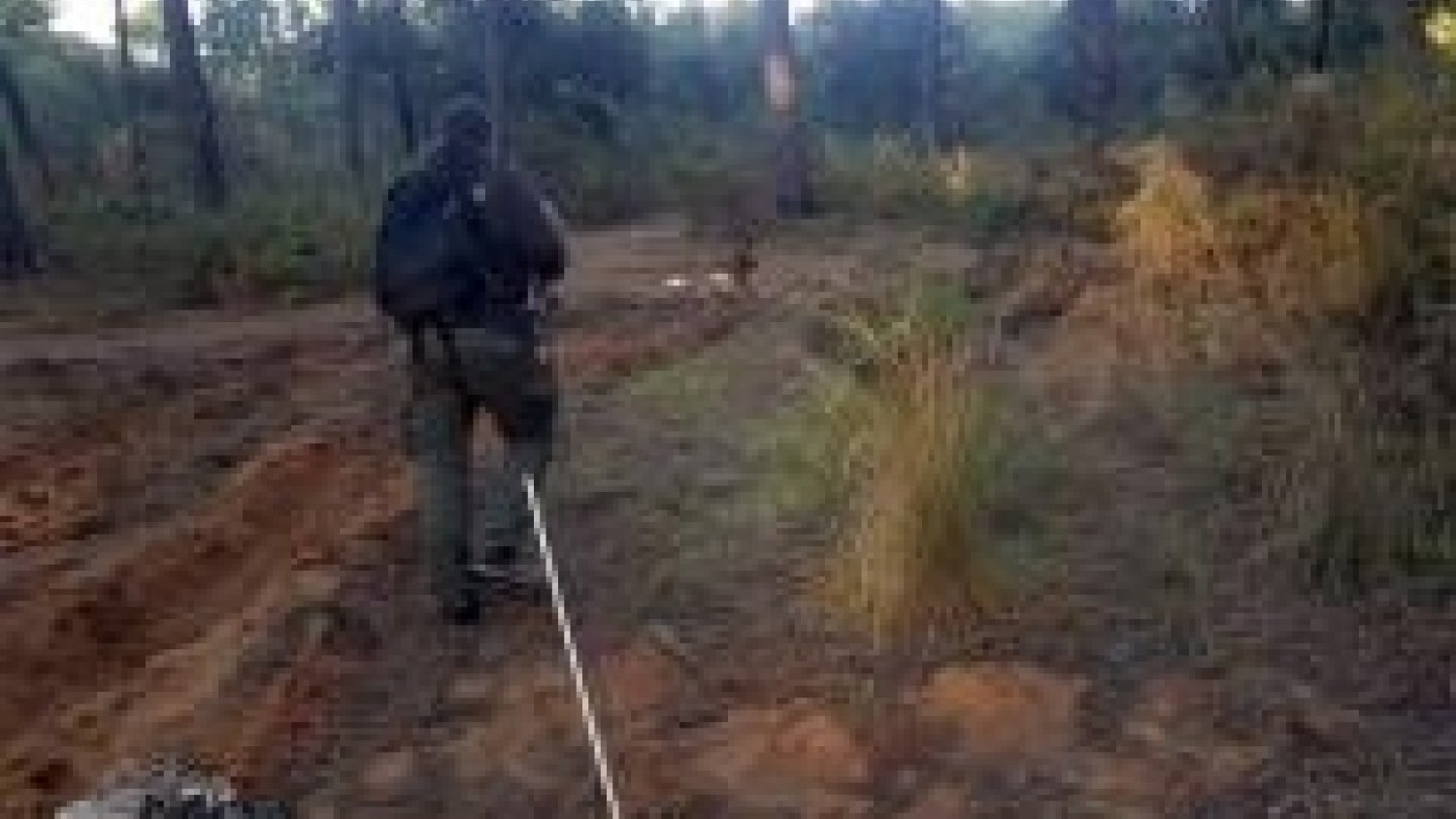 La unidad canina de Protección Civil localiza a un hombre de 80 años desaparecido