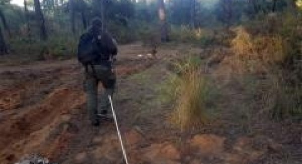 La unidad canina de Protección Civil localiza a un hombre de 80 años desaparecido