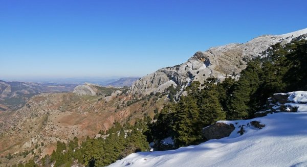 Aprobada la propuesta definitiva para la declaración  de la Sierra de las Nieves como Parque Nacional