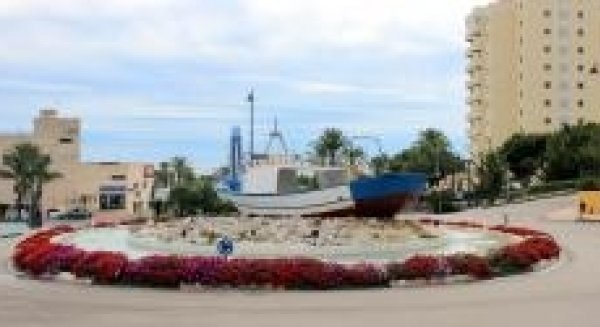 El Ayuntamiento de Estepona plantará 115.000 flores que embellecerán las zonas verdes durante la Navidad