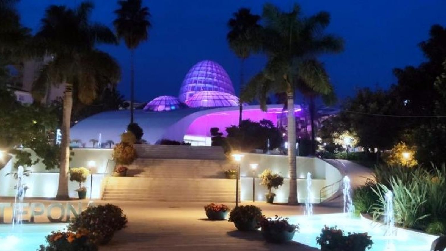 Estepona inicia las actividades con motivo del ‘Día Internacional de la Eliminación de la Violencia contra las Mujeres’