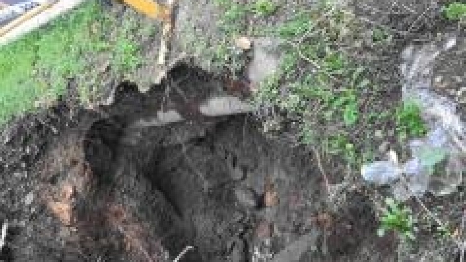 Mañana se inician los trabajos de estabilización  en la calle Fernando VII de Marbella