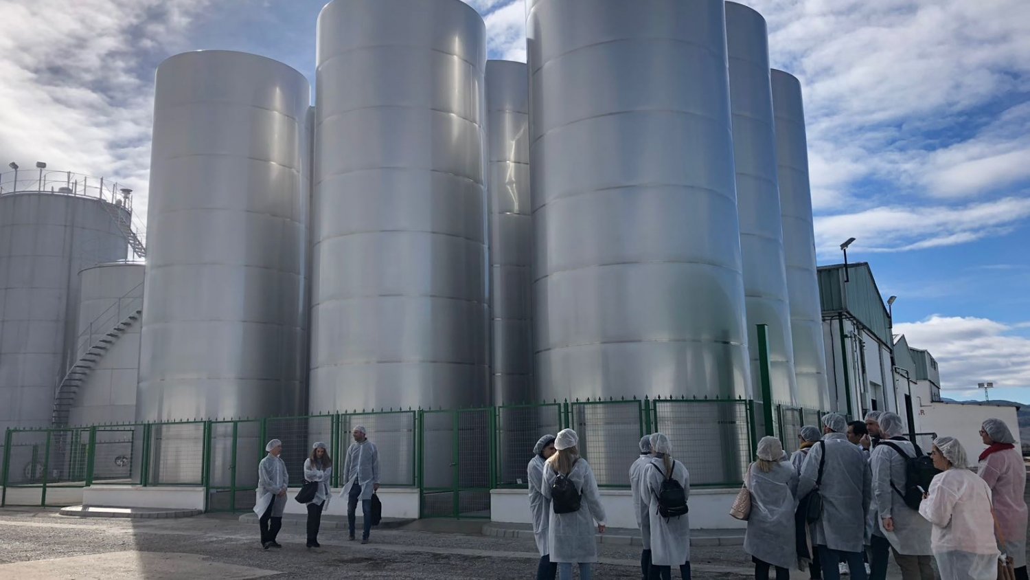 La Diputación participa en un proyecto europeo para mejorar la producción y la calidad del aceite de oliva