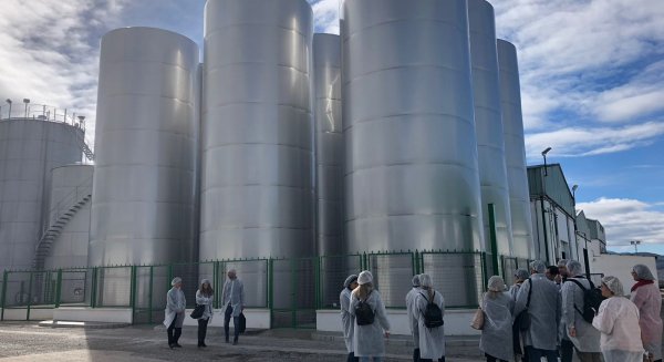 La Diputación participa en un proyecto europeo para mejorar la producción y la calidad del aceite de oliva