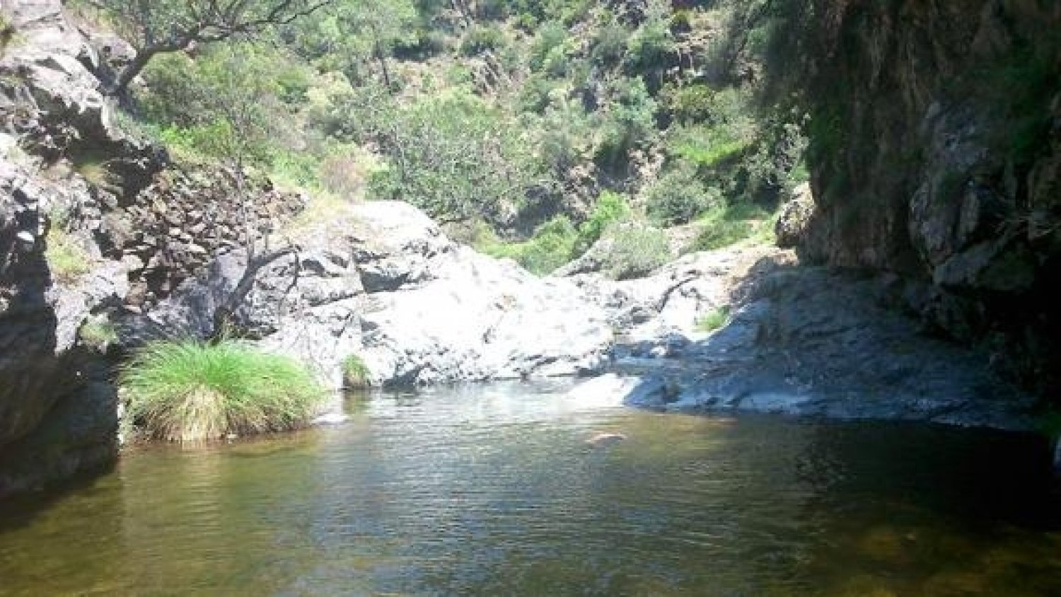 La tenencia de alcaldía de San Pedro de Alcántara desaconseja la limpieza del río Guadaiza por parte de personal no experto en materia medioambiental