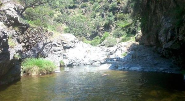 La tenencia de alcaldía de San Pedro de Alcántara desaconseja la limpieza del río Guadaiza por parte de personal no experto en materia medioambiental