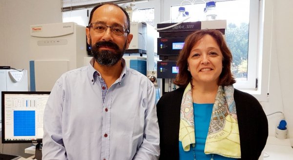 La UMA, el SAS y la farmacéutica Diater avanzan en la investigación de tratamientos contra patologías alérgicas