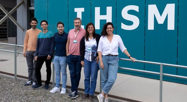 Identifican una familia de proteínas responsable de la producción de celulosa en planta frente a estrés salino
