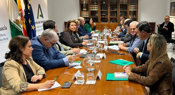 Andalucía reclama al Estado máxima flexibilidad de la PAC para evitar más costes al campo