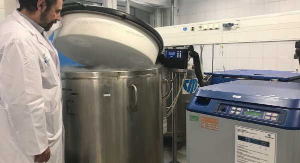 El Hospital Regional se sitúa como primer centro andaluz en trasplantes de médula ósea con más de 1.700 intervenciones desde 1989