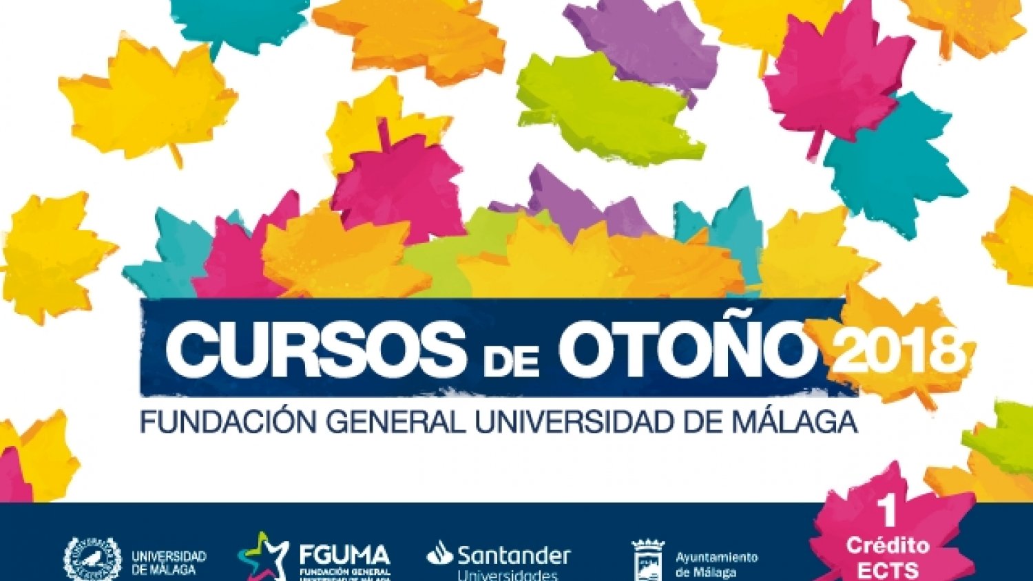 35 cursos componen la oferta de otoño de la Fundación General de la UMA