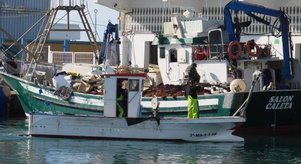Los caladeros de Málaga regresan a la normalidad tras la reapertura de nuevas zonas de pesca