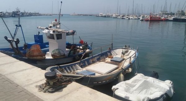 La Junta reabre el 70% de los caladeros de Málaga tras la paulatina desaparición de las toxinas