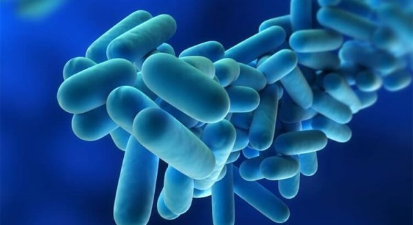 Salud aclara que no existen brotes de legionella en los centros educativos donde se ha detectado