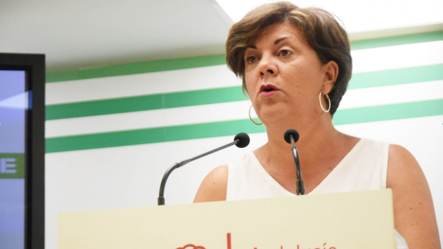El PSOE reclama la modificación de la Ley de Estabilidad Presupuestaria para responder a los intereses de la ciudadanía