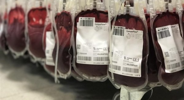 El Centro Regional de Transfusiones hace un llamamiento urgente para la donación de sangre en Málaga