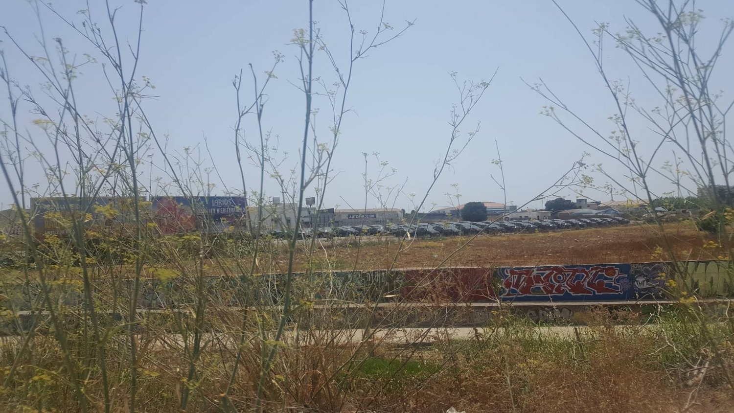 Zorrilla alerta del aumento de VTC en agosto y reclama acciones para evitar nuevos conflictos