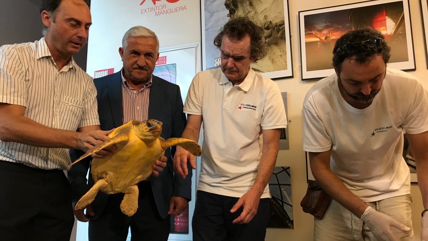 El Ayuntamiento apoya con 400.000 euros la labor del Aula del Mar y del Centro de Recuperación de Especies Marinas Amenazadas