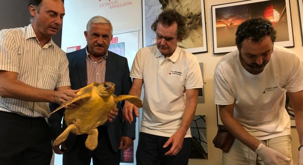 El Ayuntamiento apoya con 400.000 euros la labor del Aula del Mar y del Centro de Recuperación de Especies Marinas Amenazadas