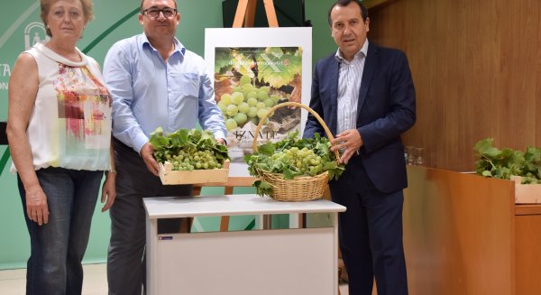 Iznate celebra la XX edición del Día de la Uva Moscatel, una fiesta consolidada cargada de singularidad y tradición
