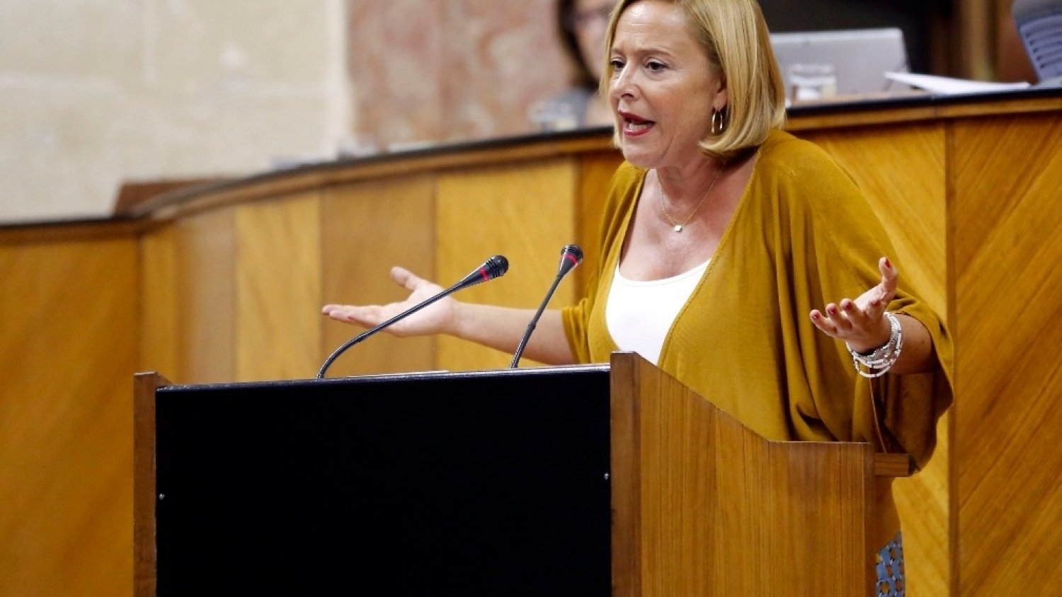 El PP exige explicaciones a la Junta por la falta de controles en la residencia de Benalmádena