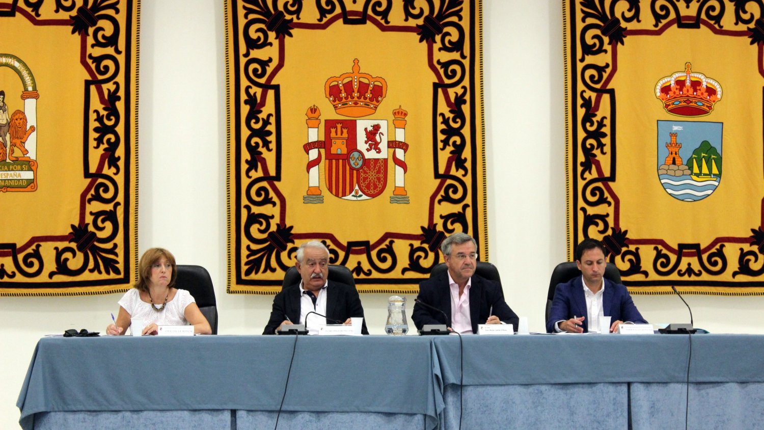 El Pleno de Estepona da cuenta del inicio del proceso de obtención de los terrenos para crear la Biblioteca del Sur de Europa