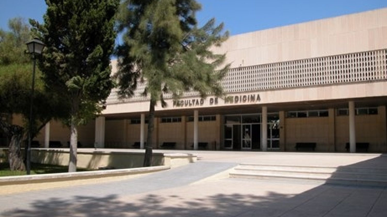 Medicina y Bioquímica, las carreras con la nota de corte más alta para acceder a la UMA