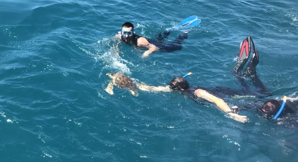 La Diputación reafirma su colaboración con el Aula del Mar con la liberación de una tortuga tras un año de recuperación en el CREMA