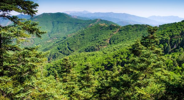 Estepona intensifica los controles en parajes naturales para evitar incendios forestales