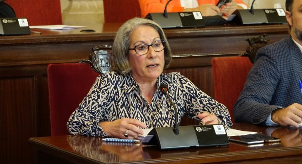 PSOE arranca el compromiso del Ayuntamiento para aumentar la bonificación del IBI