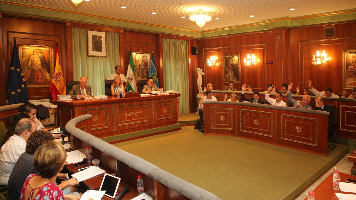 El pleno de Marbella aprueba de forma inicial la ordenanza municipal del taxi que otorga seguridad al sector y calidad al servicio