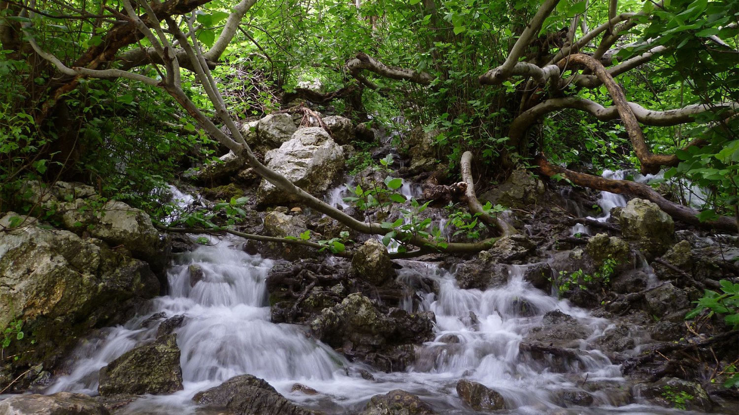 La UMA participa en un proyecto internacional que mide los efectos del cambio climático en los acuíferos