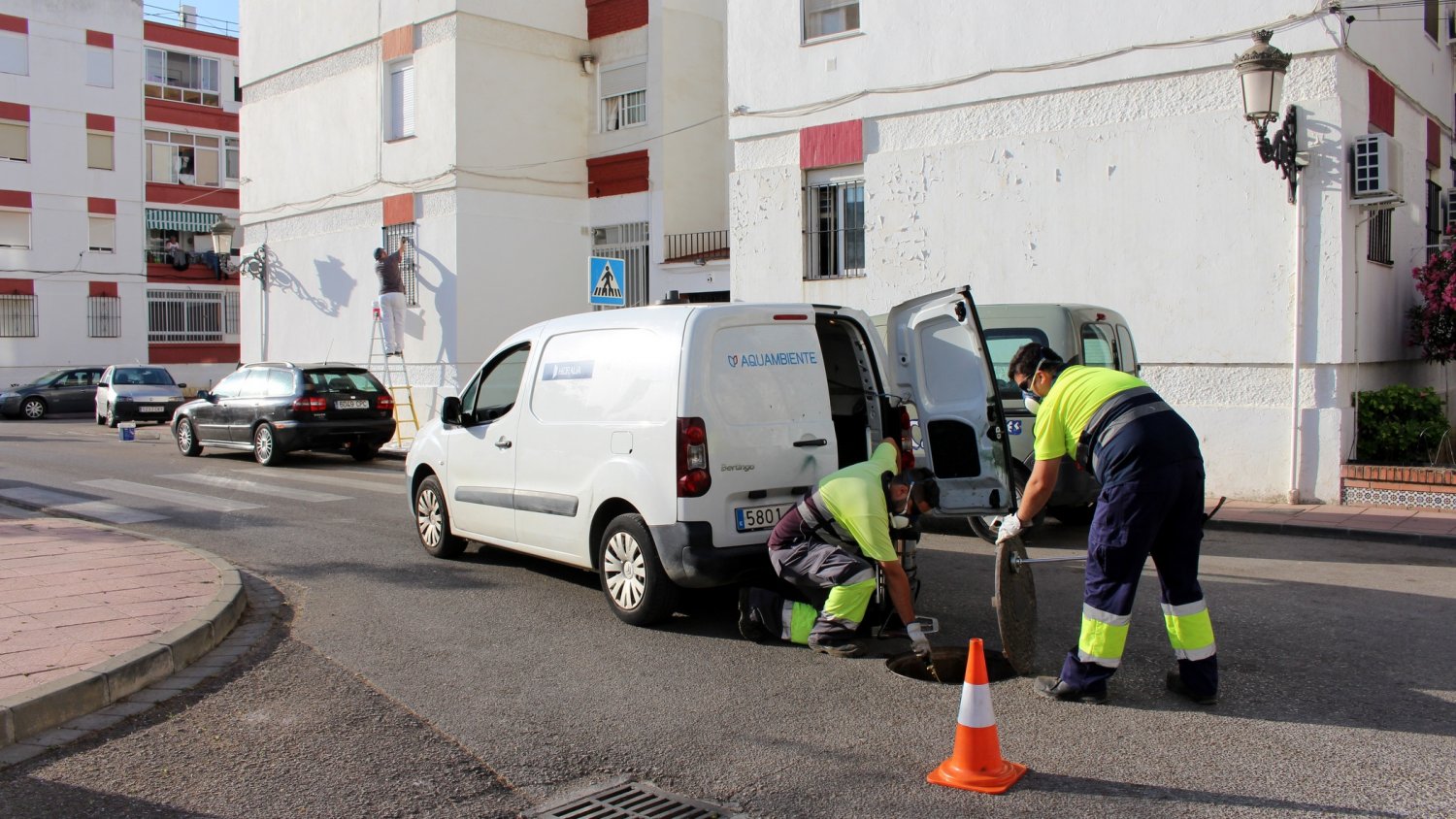 Estepona intensifica el plan de desinsectación y desratización