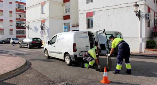 Estepona intensifica el plan de desinsectación y desratización